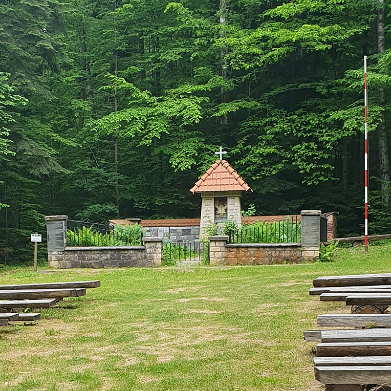 rezerwat Wykus